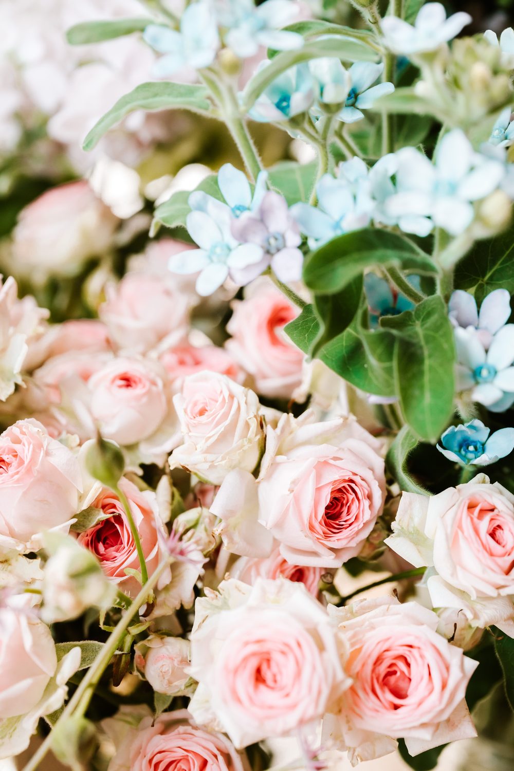 Ambiance — bouquet