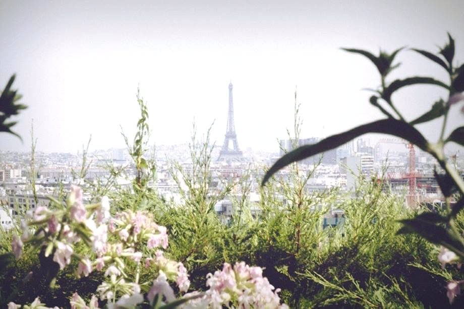 Vue sur Paris depuis le domaine